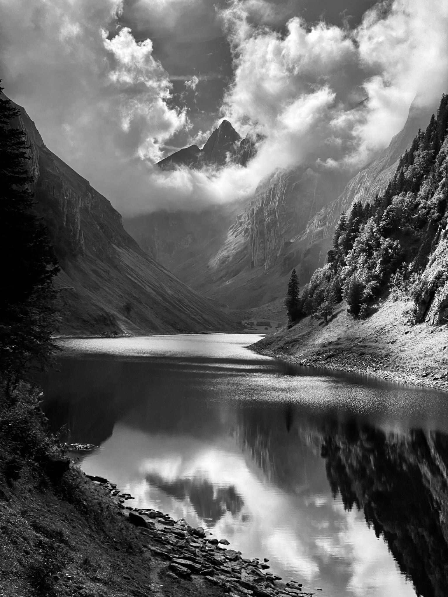 Mountain VI